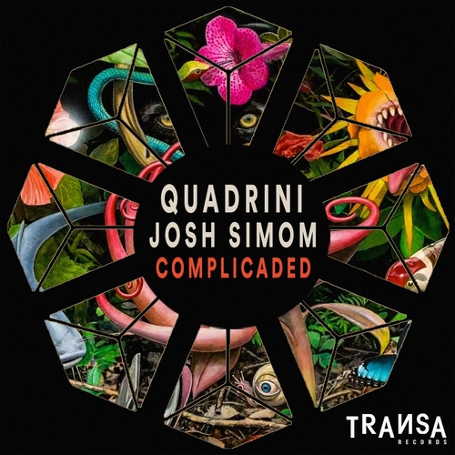 Quadrini, Josh Simom - Complicaded [TRANSA377]